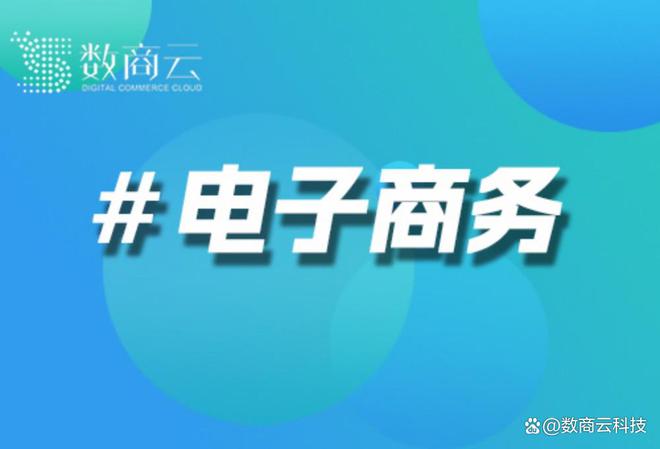 电商网站开发——电商网站开发公司｜数商云